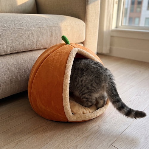 A grey tabby cat squeezing into the Pumpkin Nook, a plush orange pumpkin cat cave